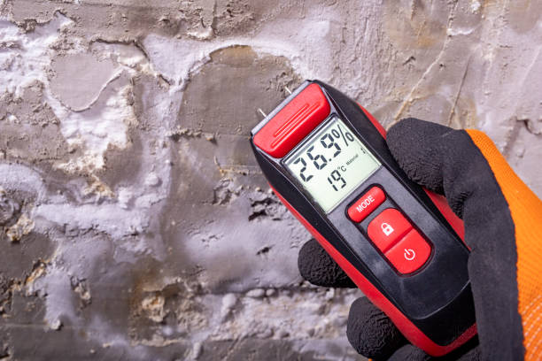 Best Crawl Space Mold Removal  in Corbin, KY